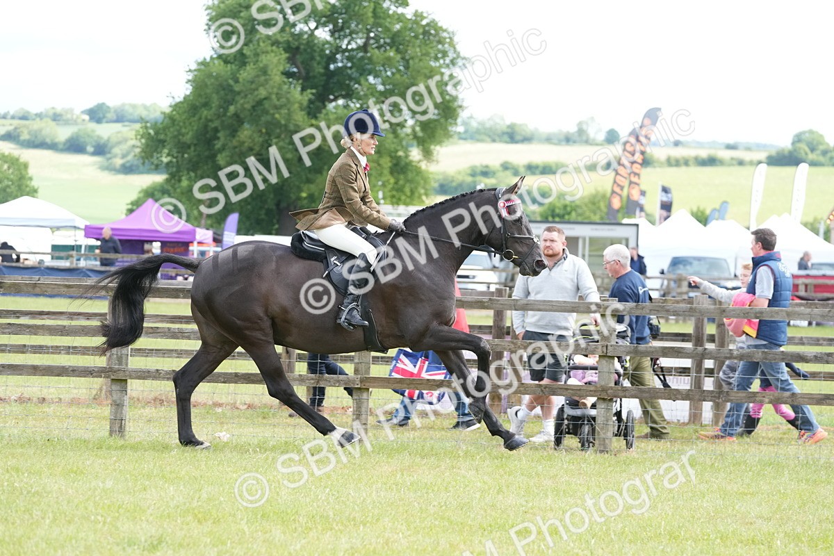 SBM_12927 - Class 99 - RIHS SEIB Working Show Horse