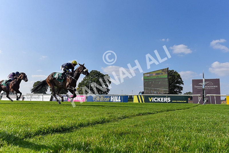 300824-Race 5-Shesashambles-5330 - Race 5