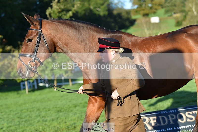 231022-090614-21566 - 634-PEMBROKE.MASTER.PIECE-Joanna.Dunn-TrotUp+SJ