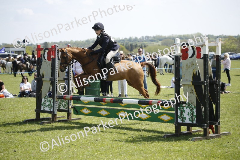 20250427-3504 - Class 14 - Absolute Novice 70cm