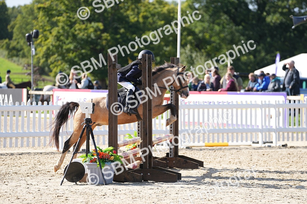 SBM_38369 - J6 - Junior Pony 55cm Championship