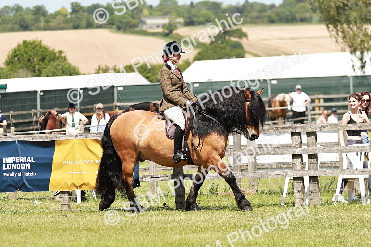 SBM_07028 - Class 26-30 - Mountain and Moorland Ridden