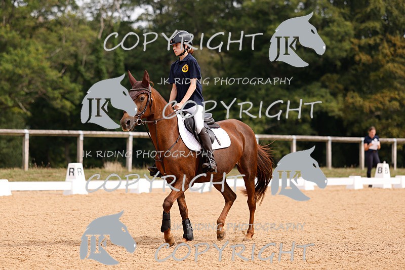 _R6A2488 - Dressage Morning