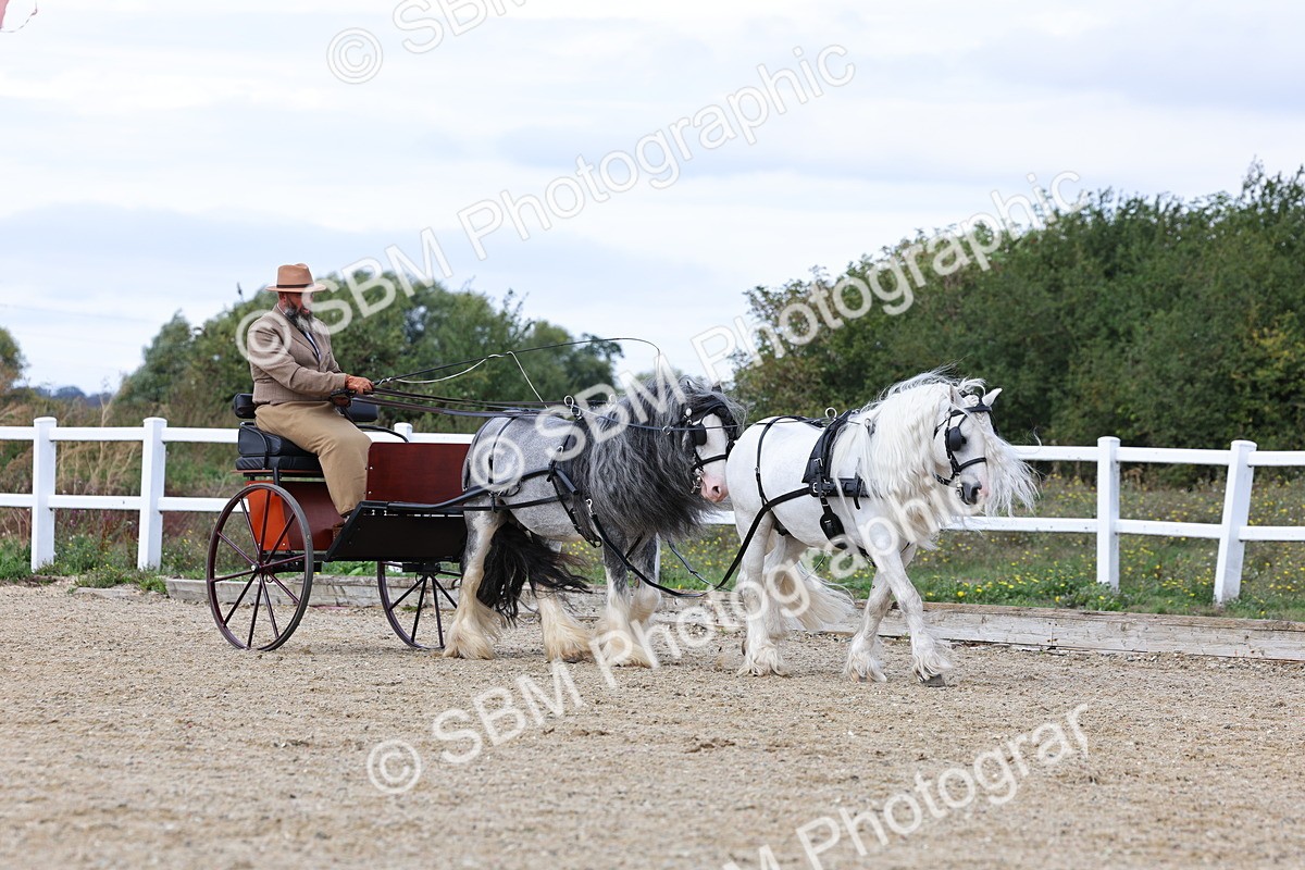 SBM_001134 - Class 16 - Pairs ,Multiples and Tandems