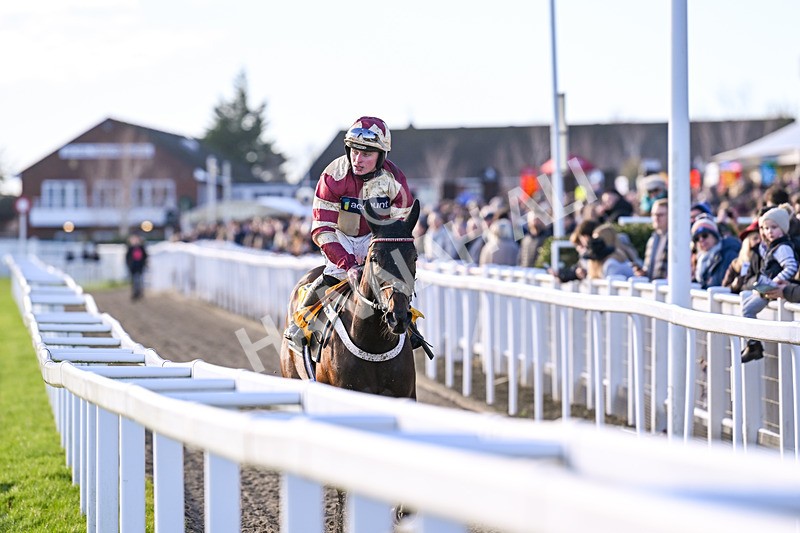 141224-Race 1-Quantock Hills-1154 - Race 1