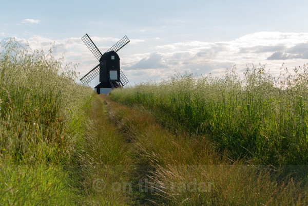 Pistone In The Long Grass - Windmills