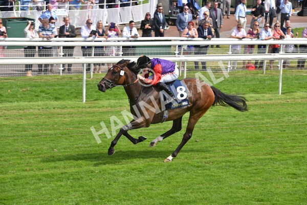 yr09072021r2-23 - Race 2: 2.40pm William Hill Summer Stakes