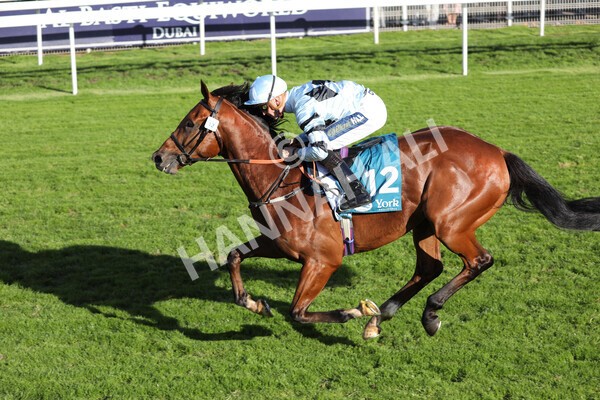 yr08102022r5-39 - Race 5 3.50pm The Coral Committed To Safer Gambling EBFStallions.com Maiden Stakes