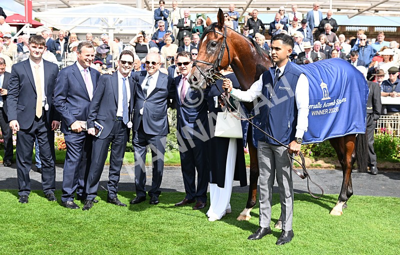 190826-064 Haffner - Race 2 14.25pm Tattersalls Acomb Stakes