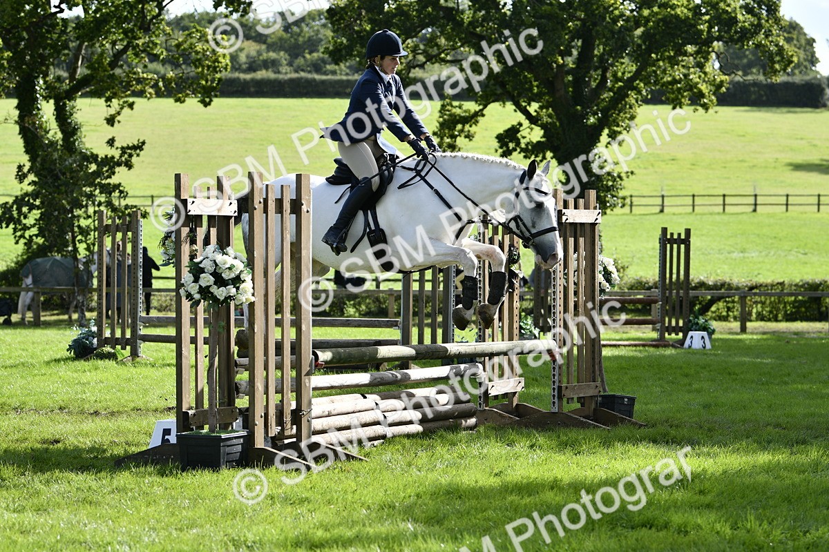 SBM_49968 - S34 - Novice & Newcomers Working Hunter