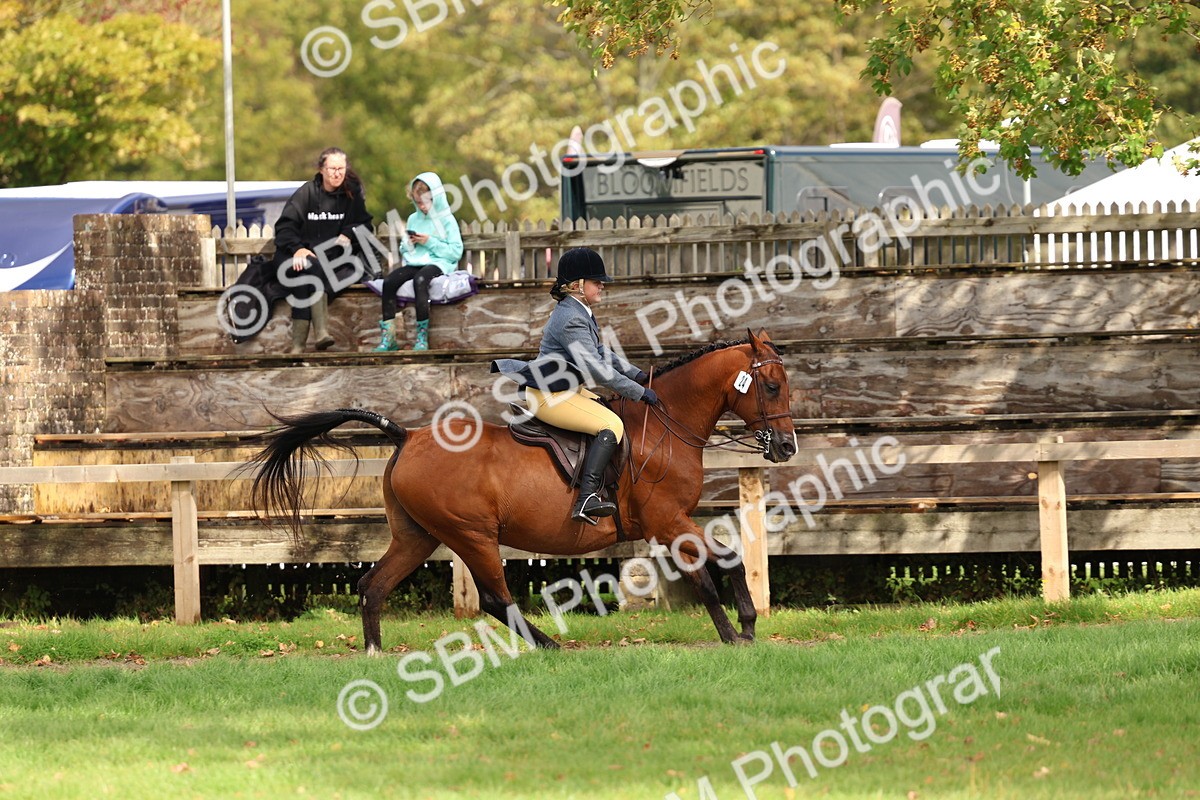 SBM_47710 - S28 - Veteran Ridden