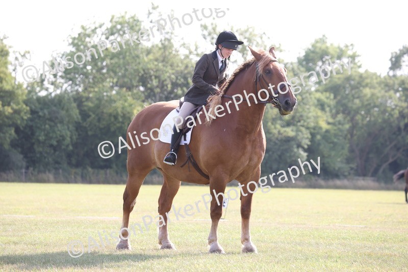 20250731-0575 - Class 1 - Intro 4