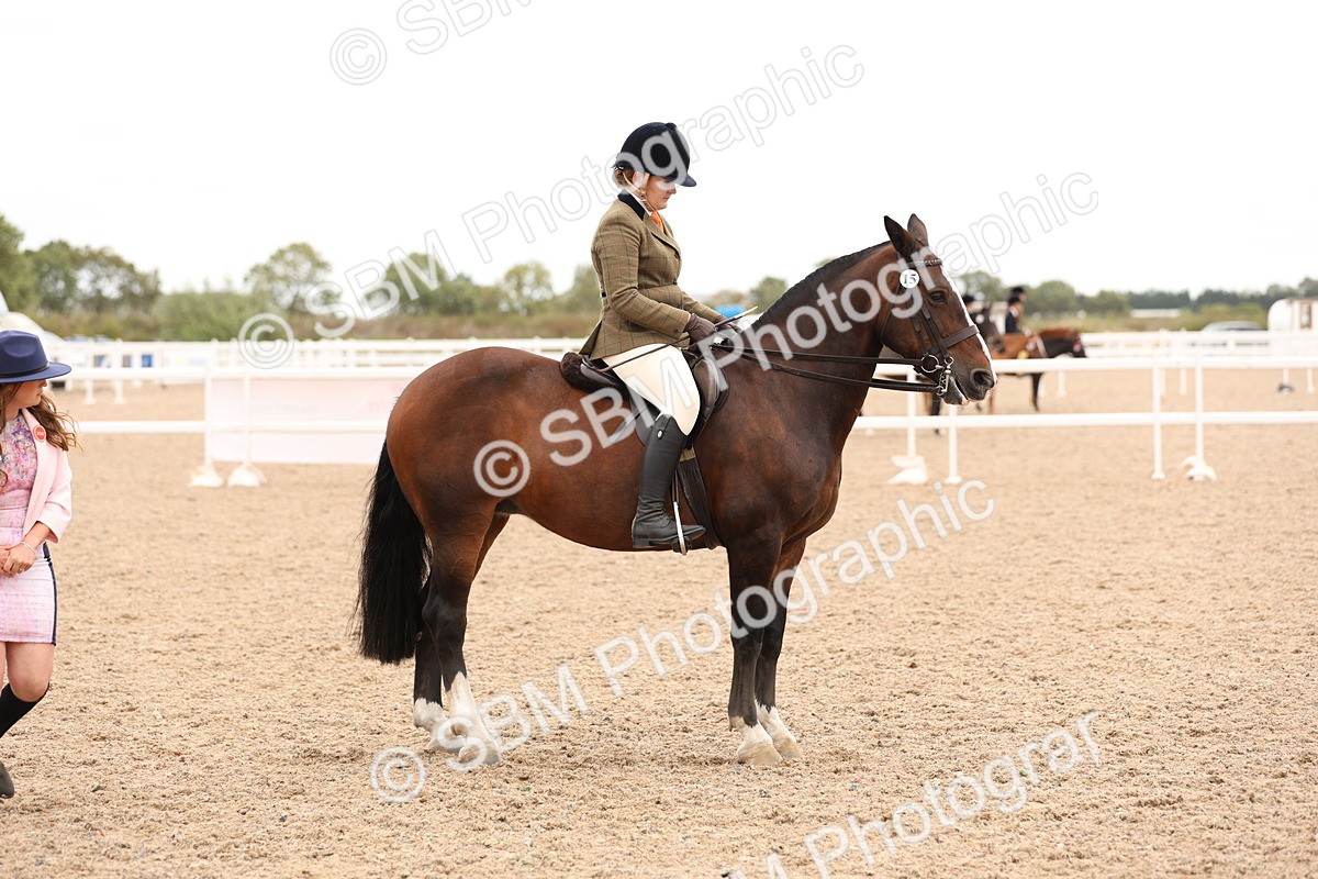 SBM_19589 - Class 215 - Ridden Show cob