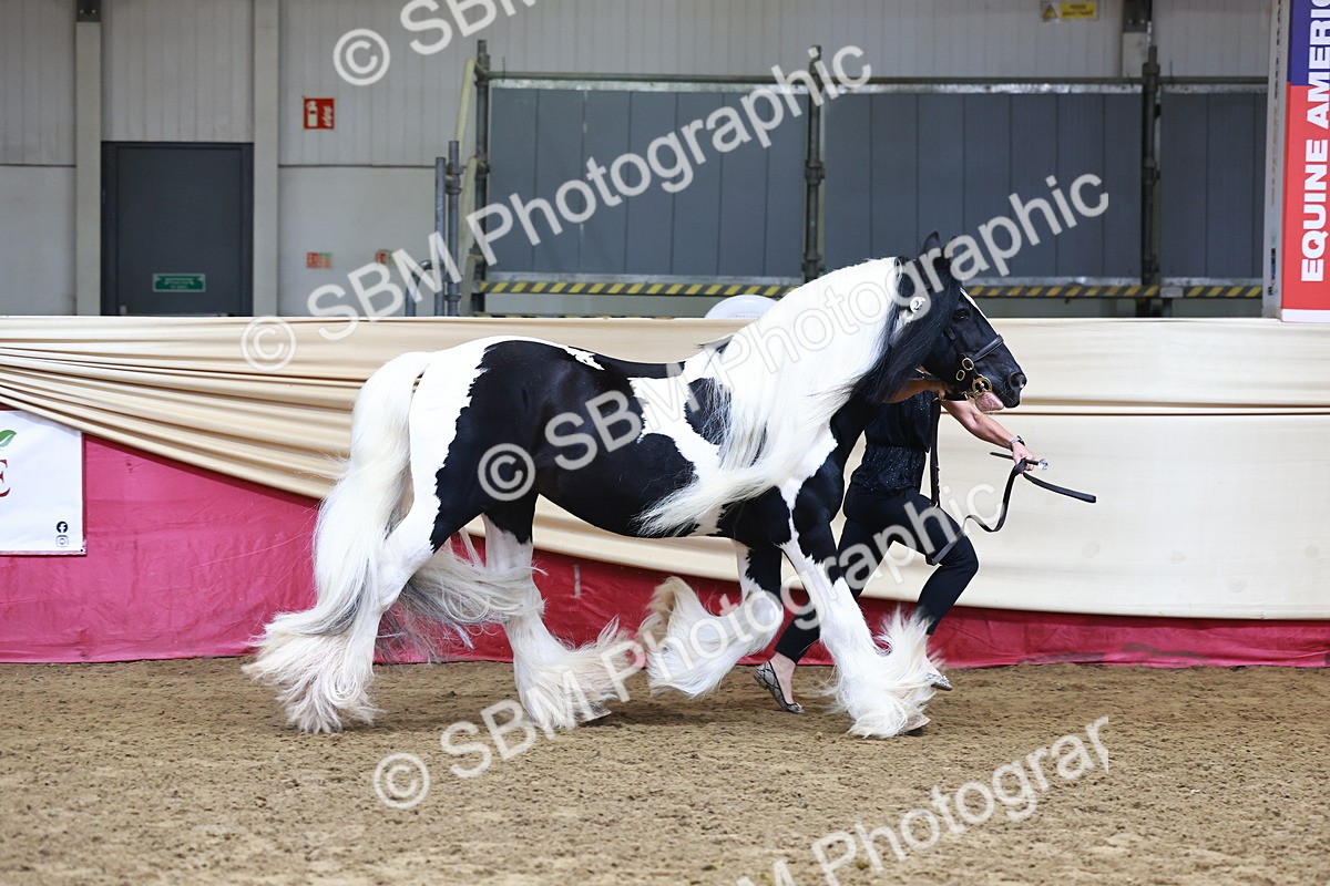 SBM_22269 - Class 902 - Supreme Final - IH Diamond