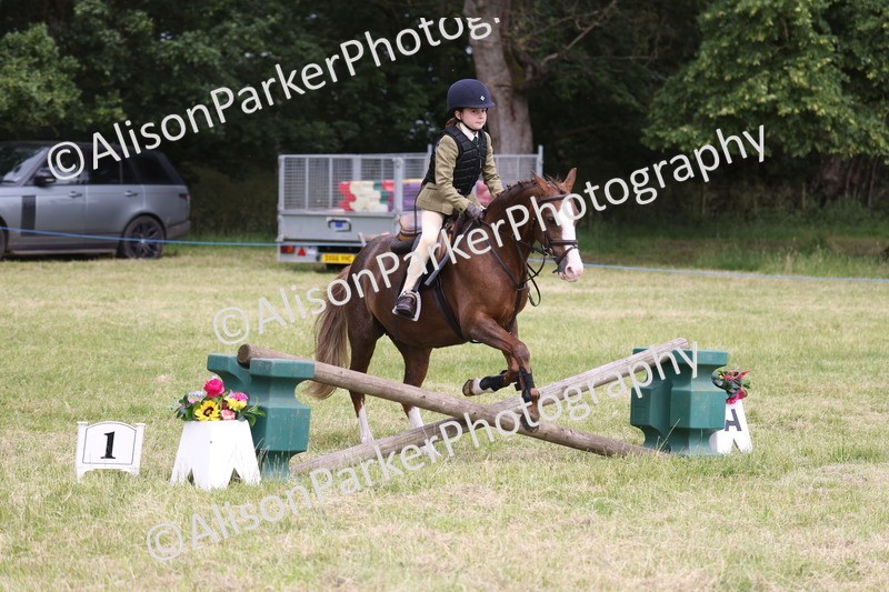 20260614-3000 - Class 22 - Open Working Hunter