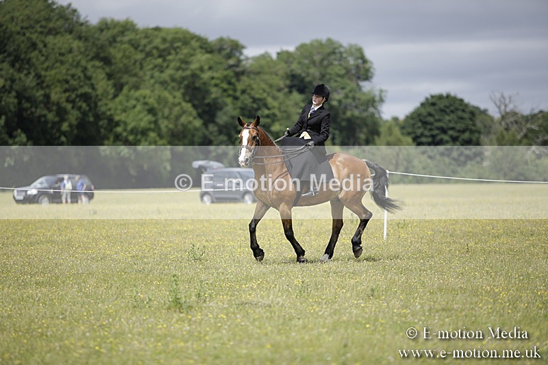 BVR160717-1994 - Side Saddle Classes 16/07/17