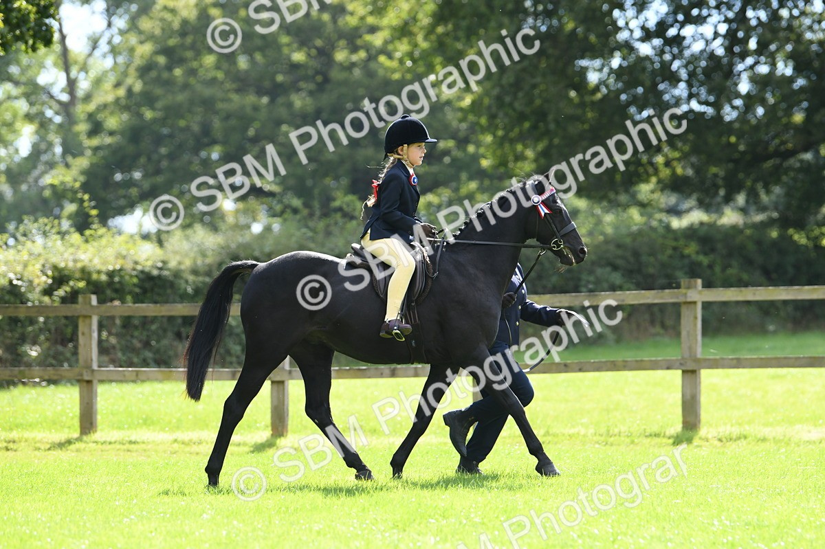 SBM_41136 - S19 - Lead Rein Show & Show Hunter Pony