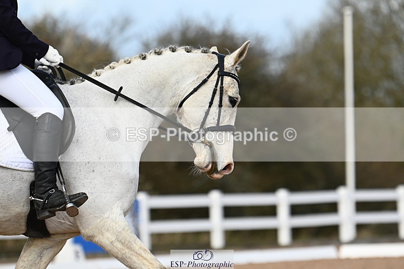 240323A-120111-02746 - DR Novice 34