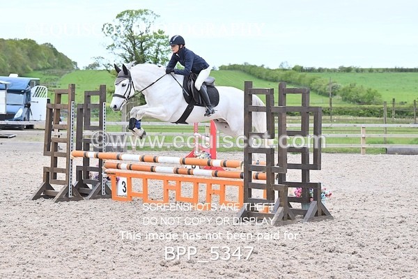 BPP_5347 - CLASS 1 Clear Round Show Jumping