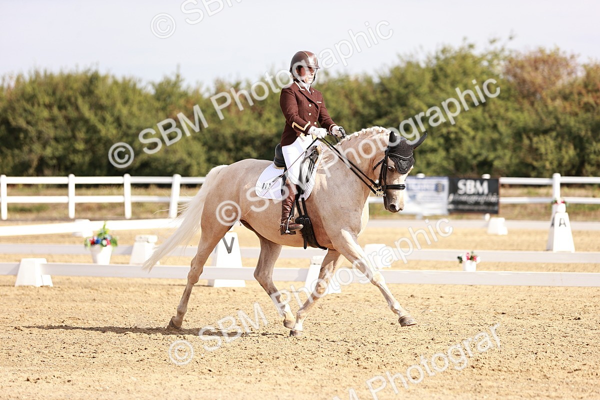 SBM_017027 - Class 10 - Medium 6