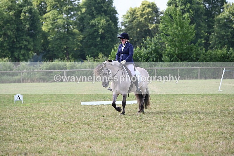 WJ6_5398 - Time 09:00 to 09:42