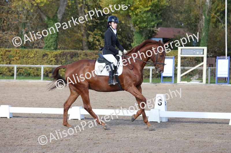 20251102-0594 - Class 4 - Novice 6