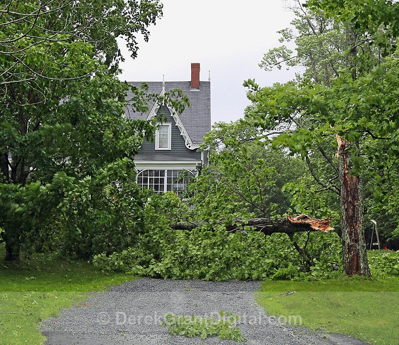 Post-Tropical Storm Arthur - 5 - Extreme Weather