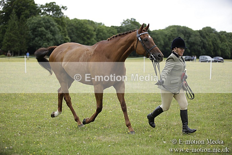 BVR160717-1097 - In Hand Championship 16/07/17