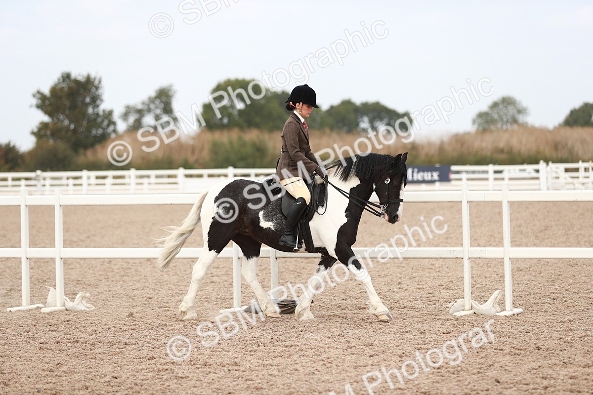 SBM_16584 - Class 214 Ridden Cob