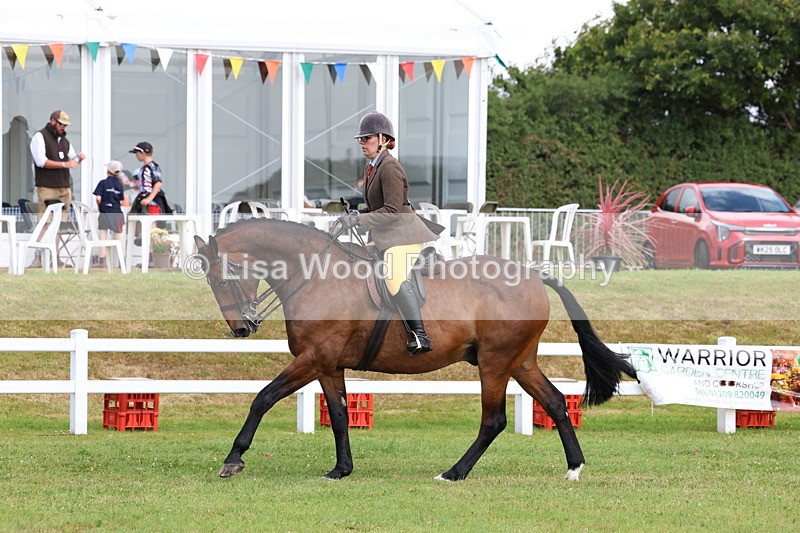 3E7A9335 - Class 4: Rising Star M/H Hunter