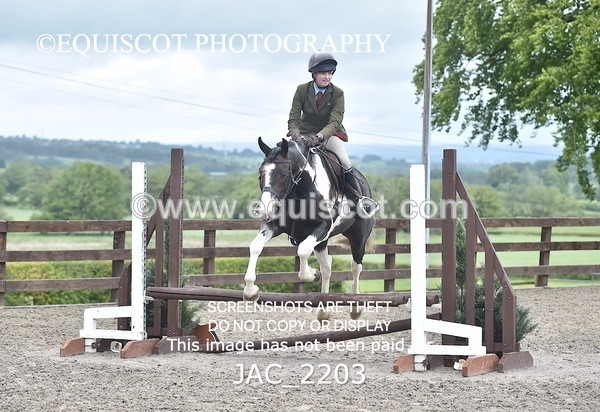 JAC_2203 - CLASS 2 Novice Working Hunter