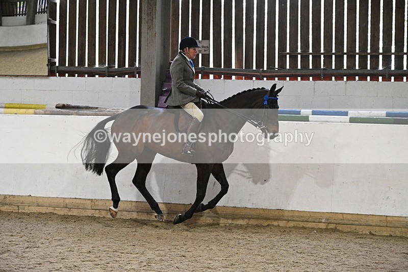 WJ7_4302 - Class 17 Ridden Cob