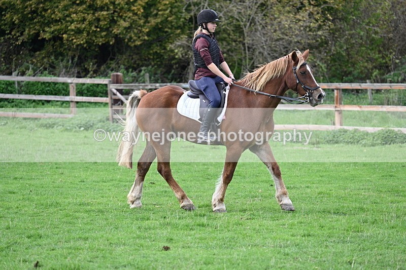 WJ7_9583 - Time 13:13 to 13:55