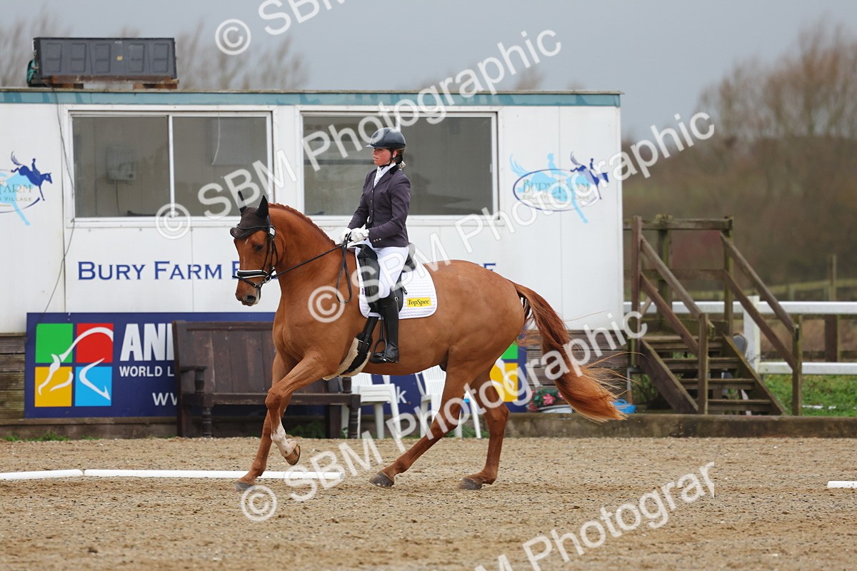 SBM_003374 - Class 7 - Novice 6
