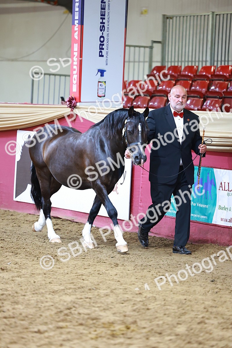 SBM_18559 - Class 903 - Sup Final - IH Pre Vet