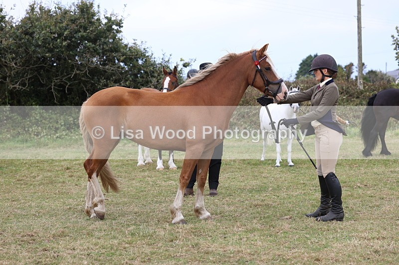 3E7A4678 - Class 16: Best Grass Kept