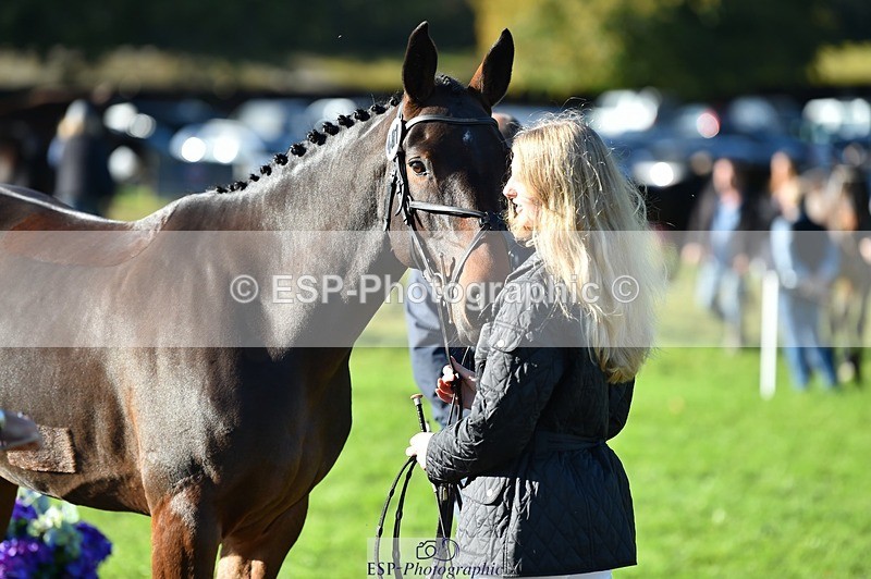 231022-104344-22698 - 481-DUKES.VISION-Abi.Stuart-TrotUp+SJ