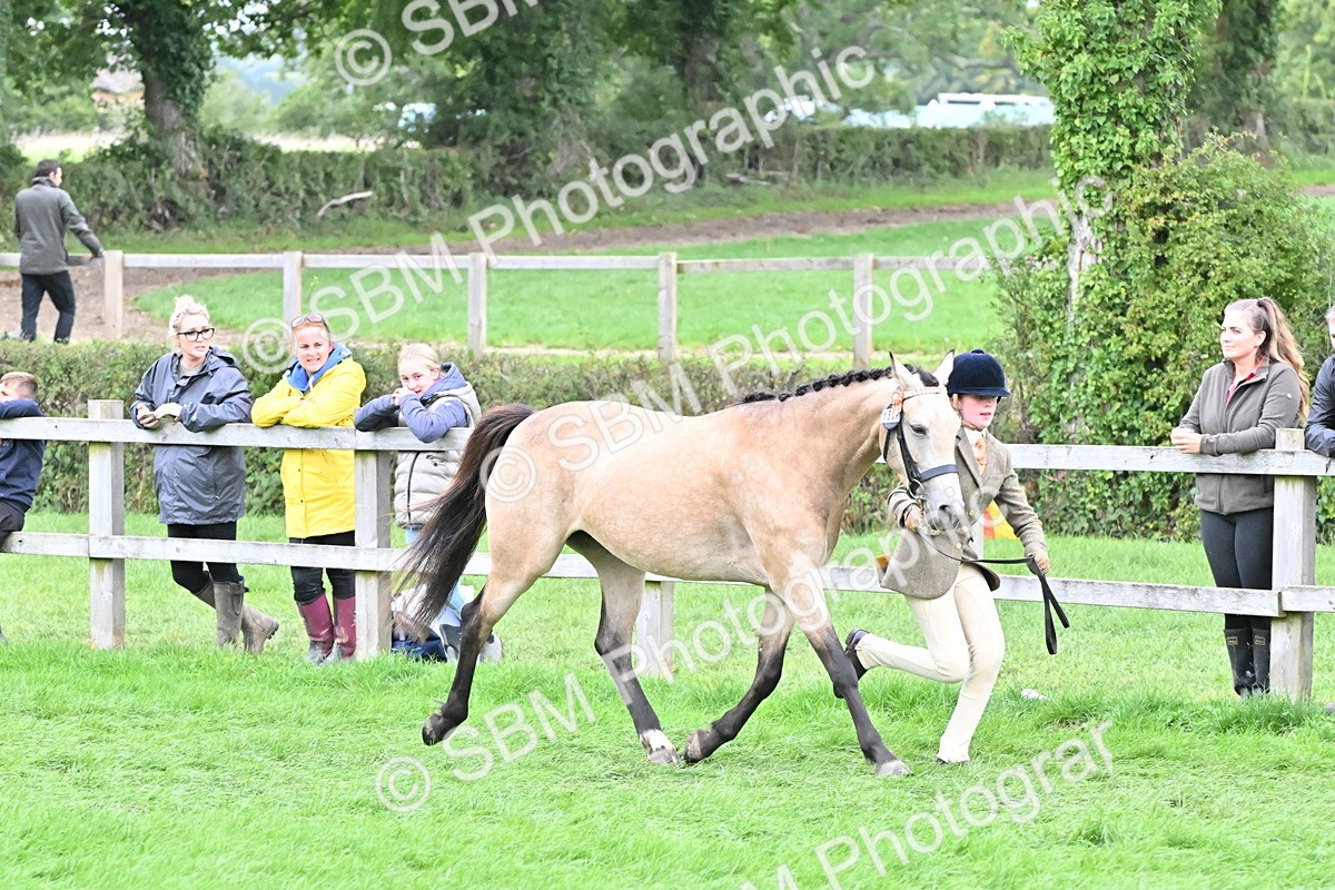 SBM_68519 - S42 - Junior Handler 9-12 Years