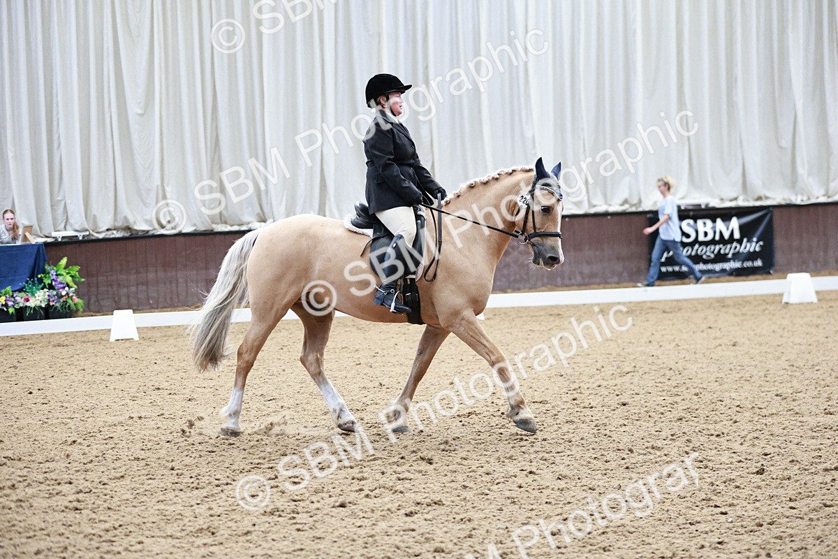 SBM_004672 - Class 13 - Novice FSM - 10.10-9.54