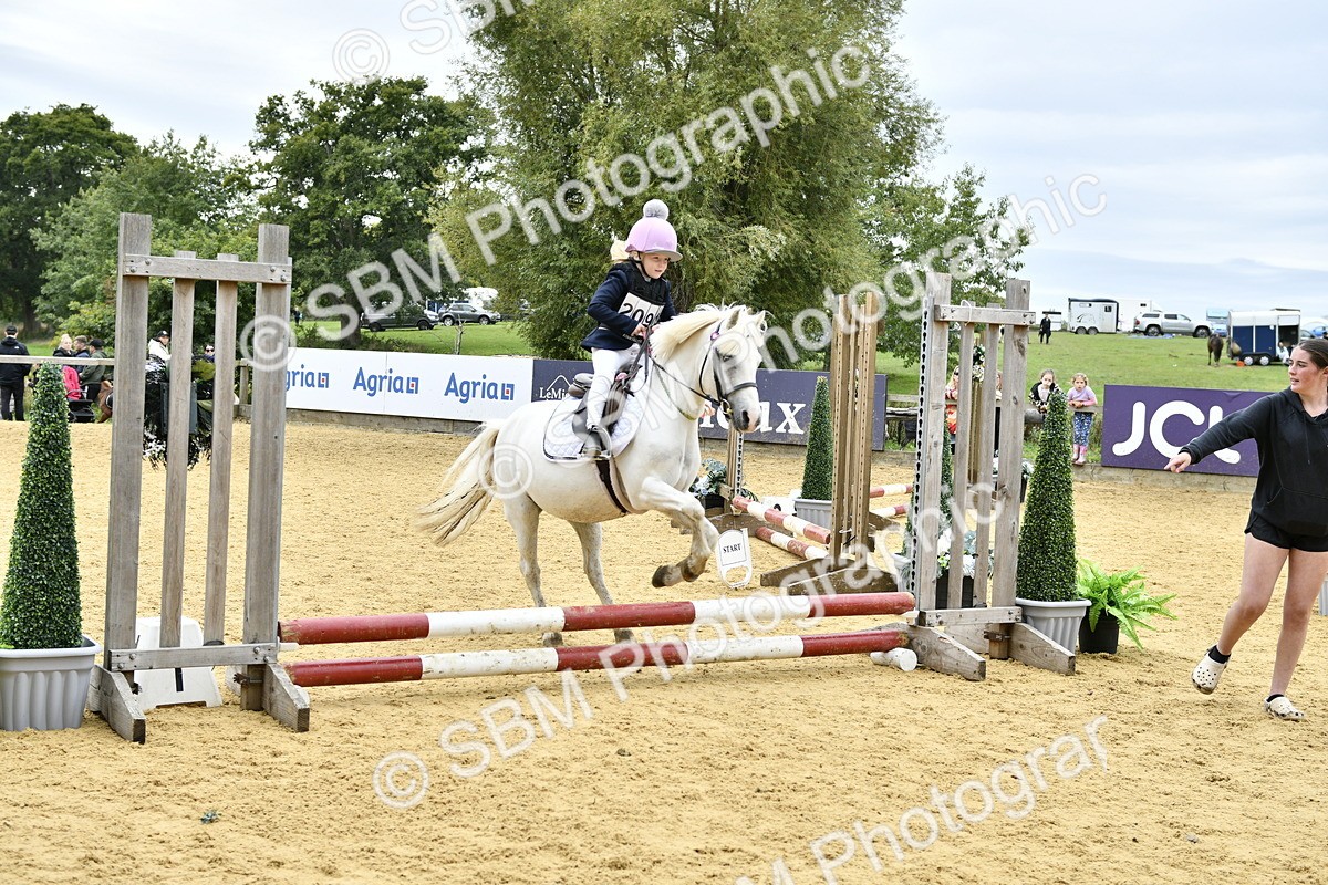SBM_65474 - J2a mini Tour Junior Pony 30cm Championship