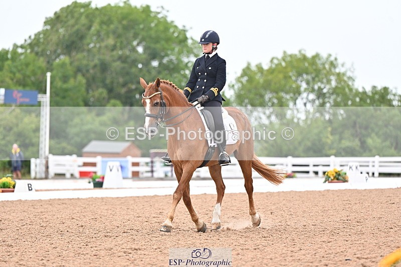 240815A-135843-01713 - 170-India.John-Grayswood.Orlando