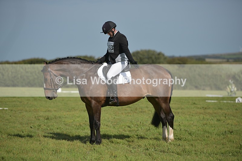 RAY_8067 - Class 2B: Trekenning Open: Dressage