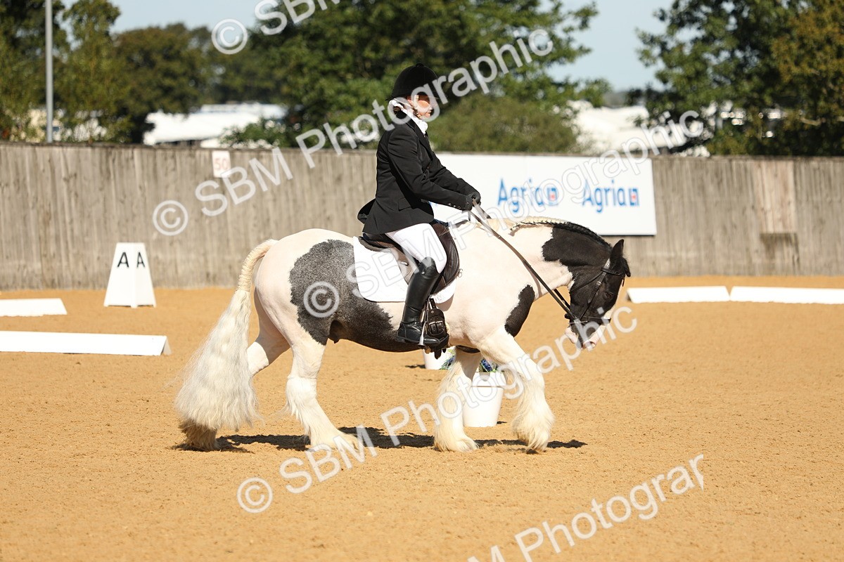 SBM_18877 - D10 - Small Tour Championship - Prelim 2