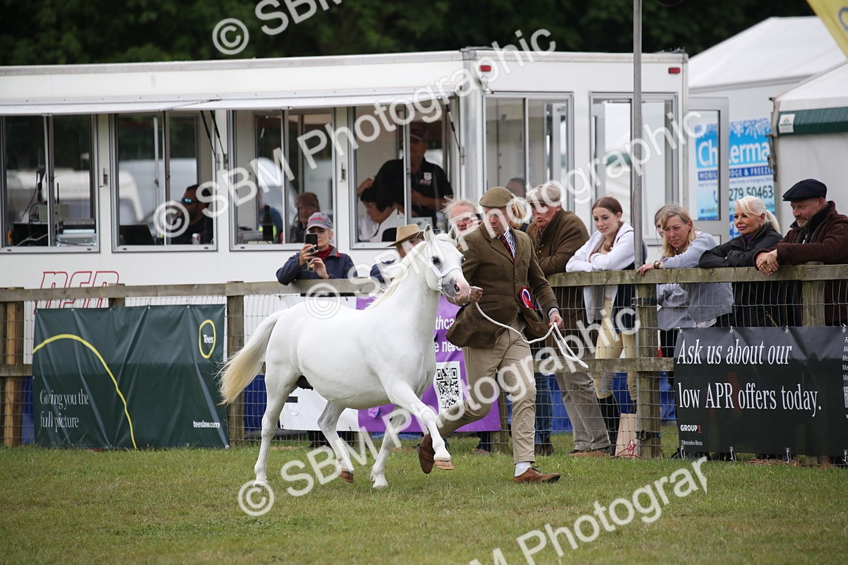 SBM_09771 - Ch 50 - Price Family Supreme In Hand