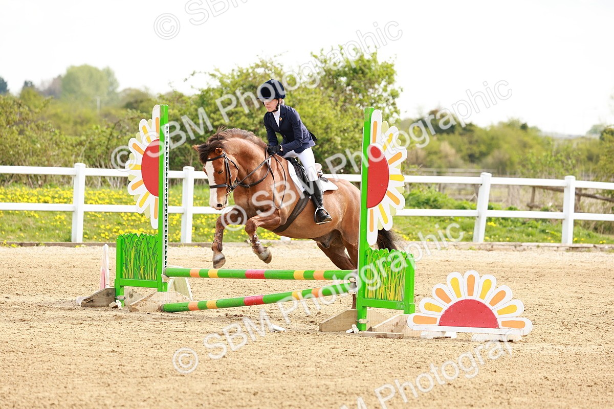 SBM_003508 - Class 2 - 50cm