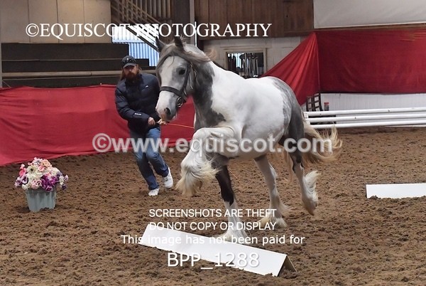 BPP_1288 - MORNING 9AM - 12PM