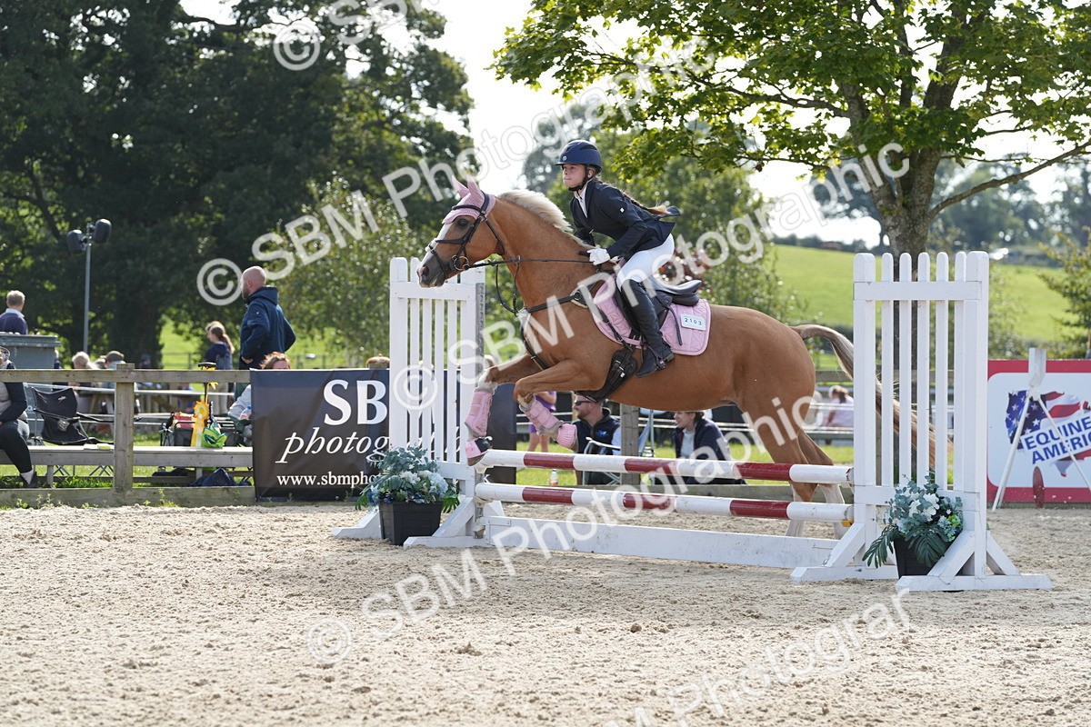 SBM_48836 - J22 - Junior Horse 65cm Championship