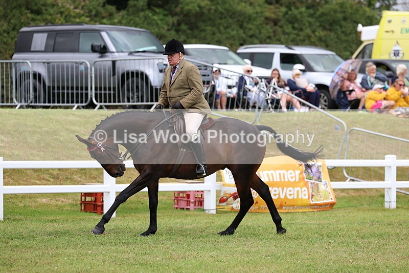 3E7A0959 - Class 8: Open Riding Horse/Hack