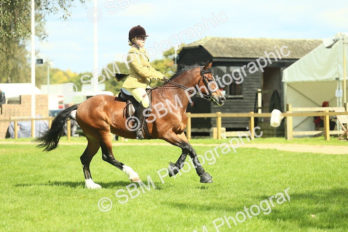 SBM_42961 - S30 - M&M Working hunter Pony