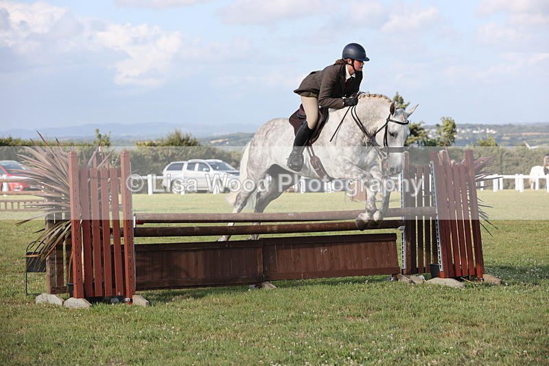 JPP_3406 - Class 22: Working Hunter 90cm